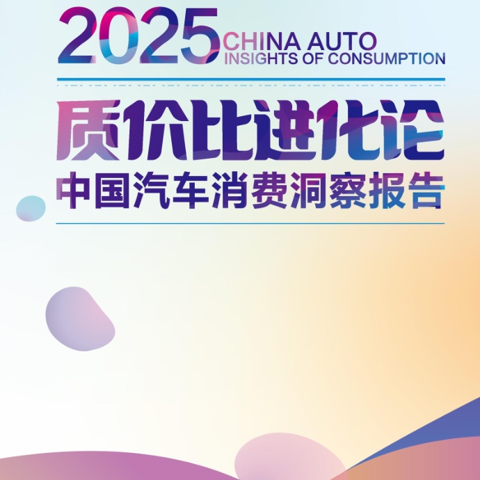 2025中国汽车消费洞察报告质价比进化论需求分析典型用户总结建议