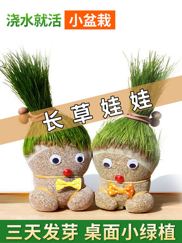 一枝春一之春花卉生长快