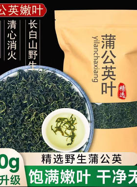 蒲公英新鲜中药材有什么功效散结茶消除肺结节茶特级野生官方正品