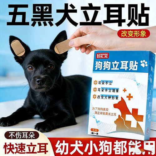 狗狗立耳贴五黑犬立耳器小狗专用立耳神器辅助器耳朵固定竖耳德牧