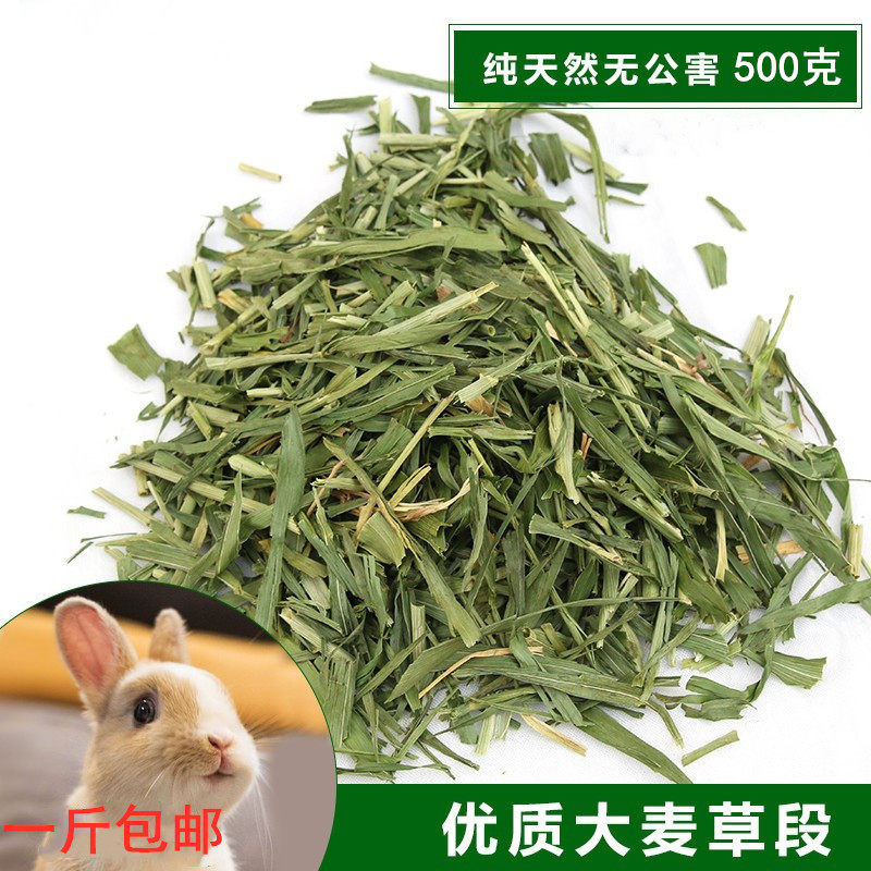 大麦草段牧草兔子吃的草豚鼠天竺鼠荷兰猪干草饲料幼兔粮一斤包邮,宠物/宠物食品及用品,兔兔干草,淘宝优惠券,粉丝福利购,淘宝优惠卷