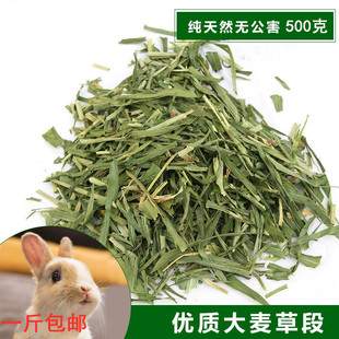 大麦草段牧草兔子吃的草豚鼠天竺鼠荷兰猪干草饲料幼兔粮一斤包邮
