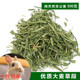 包邮 大麦草段牧草兔子吃 草豚鼠天竺鼠荷兰猪干草饲料幼兔粮一斤