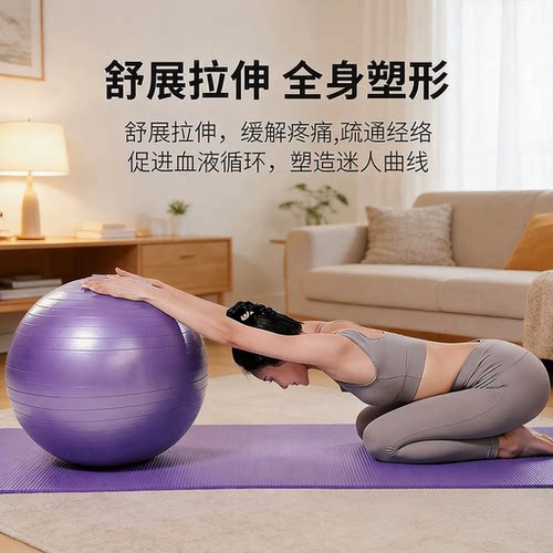 瑜伽球健身球普拉提球孕妇助产大龙球儿童感统训练加厚防爆平衡球