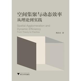 空间集聚与动态效率 从理论到实践陶永亮9787308184274浙江大学图