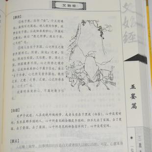 （正版）道德经 南华经 文始经(全套3册)道教三经原著原文注释全译文白话图文本中国国学文化经典书籍道家思想研究中国社会出版社