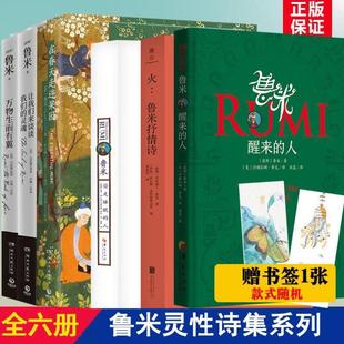 （正版）鲁米灵性诗集全6册 醒来的人 在春天走进果园 偷走睡眠的人 火 万物生而有翼 让我们来谈谈我们的灵魂苏菲派 外国小说诗歌