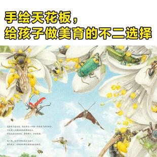 (正版)馆野鸿科学绘本全套4册蛩蠊斑蝥虎凤蝶埋葬虫昆虫科普书籍3-6岁幼儿园宝宝早教生物百科小学生认知自然界图画书