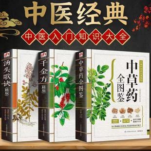 （正版）中草药全图鉴千金方 汤头歌决 彩色图解版中药材识别入门中国中医医学自学书籍中草药大全常用中药养生功效药方健康类方剂