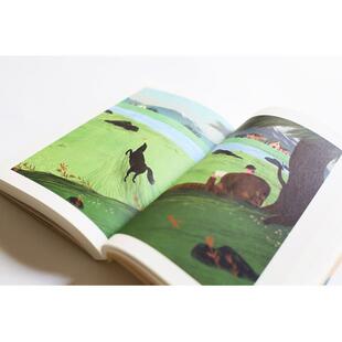 （正版）黑骏马 中文分级阅读4 亲近母语系列 9-10岁亲近母语系列儿童文学 四年级小学生课外阅读书籍经典书目少儿读物