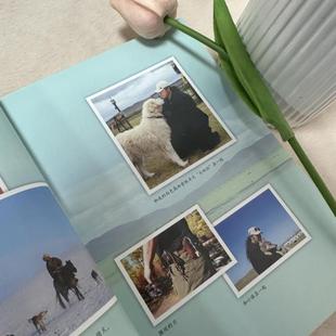 驯鹿六季 鬼狗 正版 黑鹤动物小说系列全十册 狮童 旷野之 猞猁 天鹅牧场 图书 狼血 狼谷炊烟 驯鹿之国 驯鹿石炉 艾雅苏克河