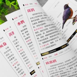 (正版)鸟图鉴鸟类观察手册 世界鸟类行为动物科普图鉴 珍惜森林草原野鸟形态鸟类图鉴野生动物百科观鸟手册鸟类大全鸟类生态大图