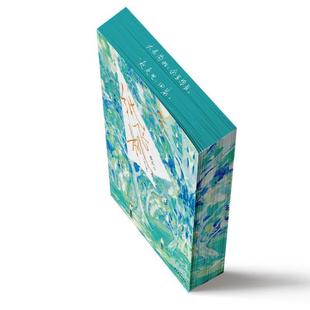 （正版）纸飞机 明信片 信纸 海报 全二册 潭石著收录番外 竹马破镜重圆实体书 小说书籍