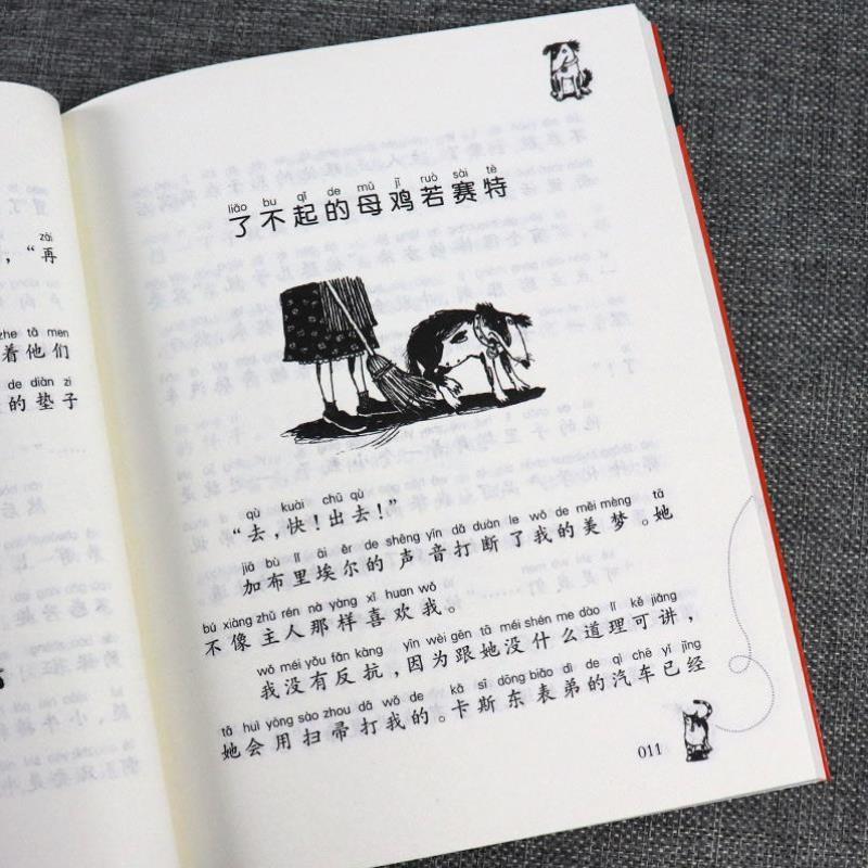 （正版）国际大奖小说 农场疑案 注音版 小学生课外阅读经典儿童文学书 一年级二年级 三四五六儿童课外读物6-7-8-10-12周岁 书籍