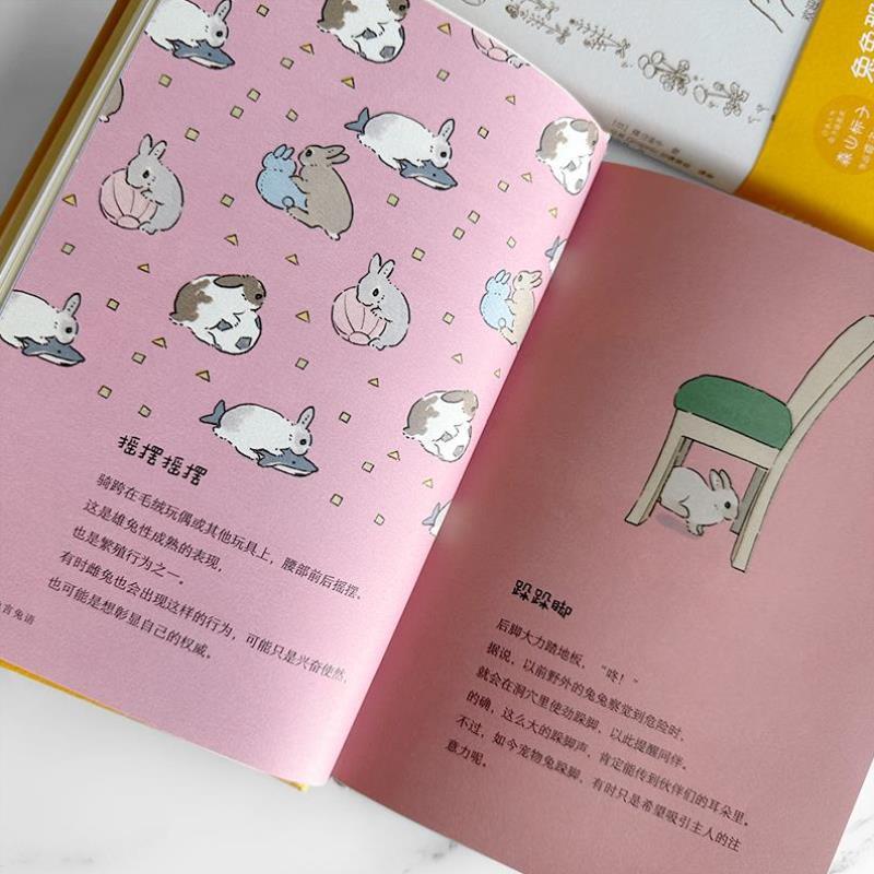 （正版）兔言兔语 可爱即正义 人气兔子插画师森山标子作品，软萌兔兔治愈你的每一天治愈系漫画绘本牡蛎的壳是大人的心脏
