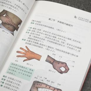 （正版）针灸取穴纲要 视频扫码获取 耿恩广 著 方剂学 针灸推拿 常用穴的主治病症 中医针灸书籍 天津科技翻译出版有限公司