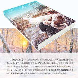 (正版)驯鹿六季 黑鹤动物小说系列 7-8-10-12周岁儿童文学励志读物 动物故事小说三四五六年级小学生课外阅读书籍暑假读一本好书