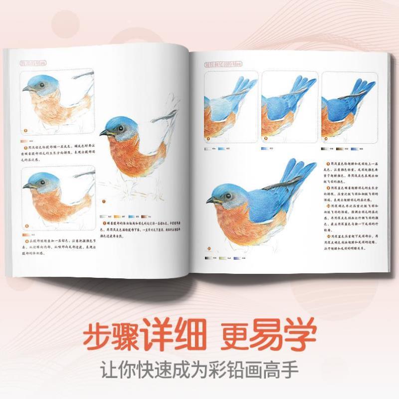 （正版）彩铅花鸟 彩色铅笔画画书零基础入门教程教材美术绘画超写实手绘技法绘画动物植物本漫画素描画册临摹范本花之绘教学成人