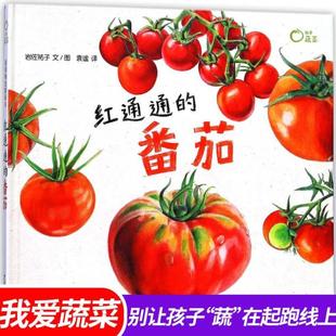 （正版）红通通的番茄 麦田精选图画书 绘本 3-6周岁植物蔬菜科普绘 描述番茄的成长绘本图画故事书籍 岩佐祐子 幼儿认知