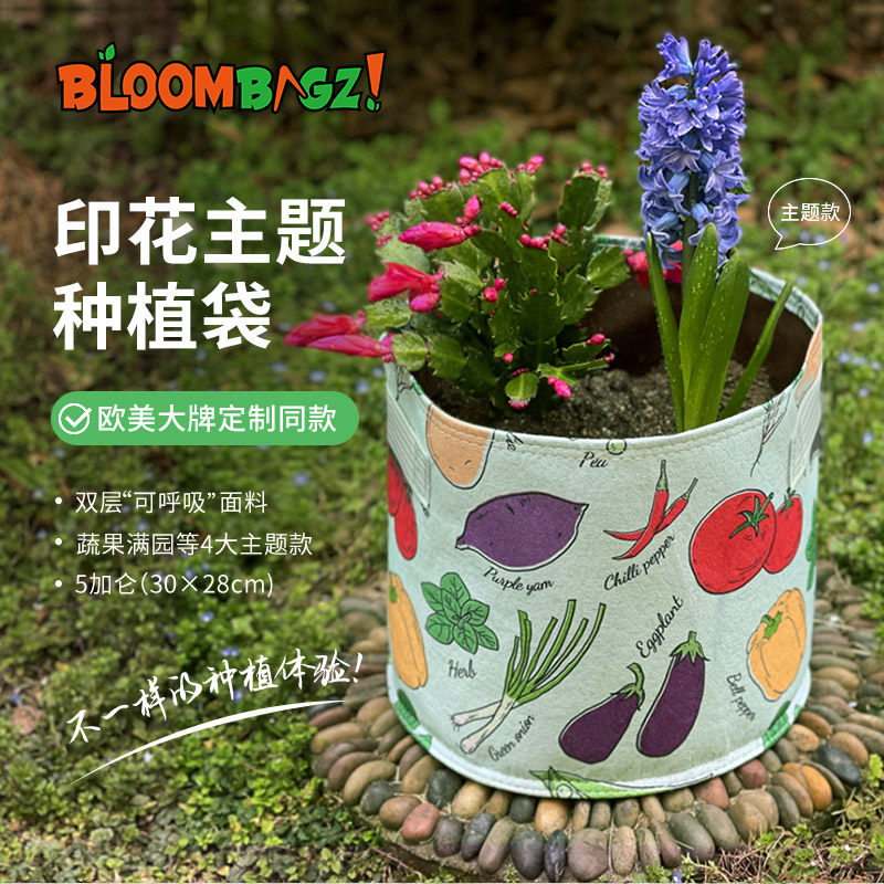bloombgz庭院花卉种植袋阳台蔬菜种植盆大口径室内植物花盆美植袋