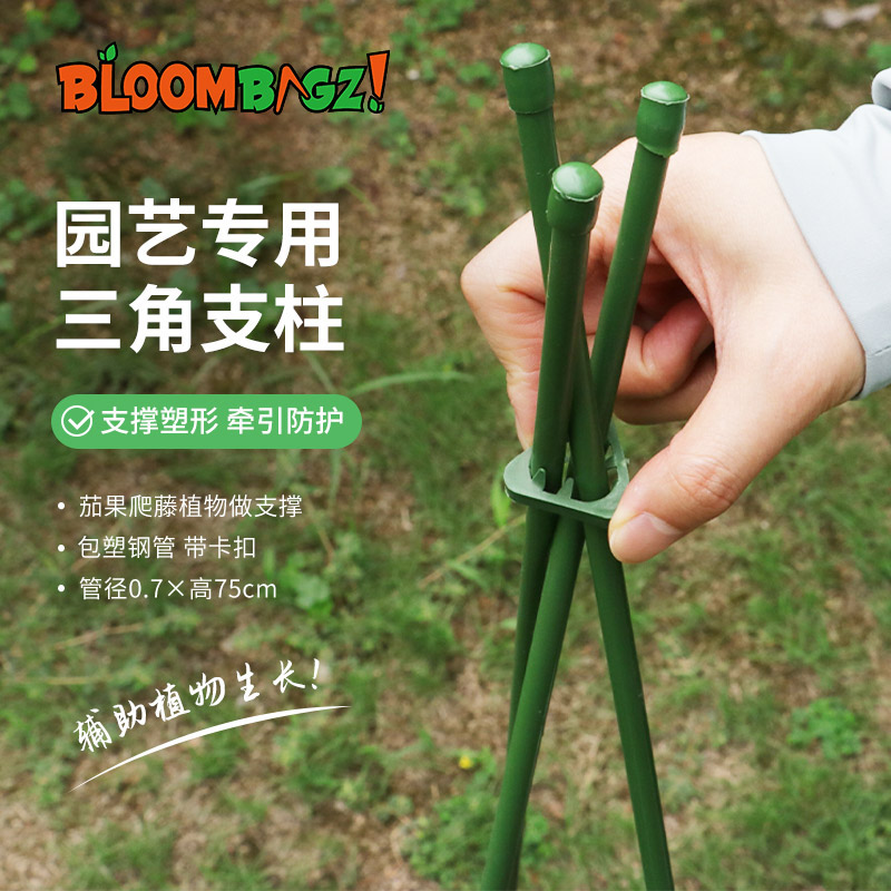 BLOOMBGZ！植物固定防倒伏花支架