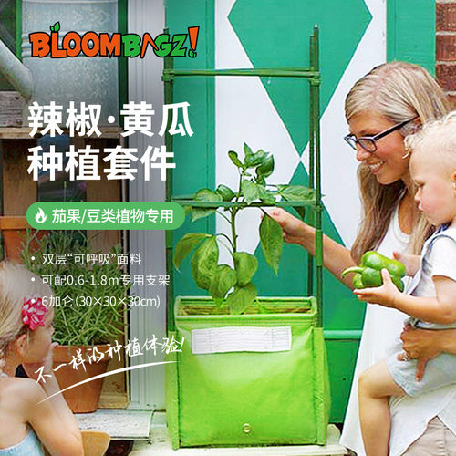 黄瓜茄子辣椒茄果专用方形种植袋