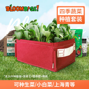 蔬菜种植袋套装 bloombgz四季 家庭阳台园艺种植营养土肥料种子椰砖