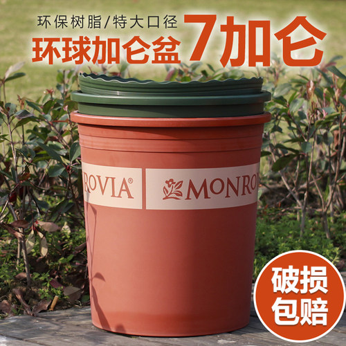 环球加仑盆树脂塑料大型绿植花卉
