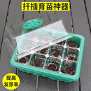 穴盘塑料保温营养钵播种12孔10孔种子育苗盒扦插提高发芽率芽菜盘