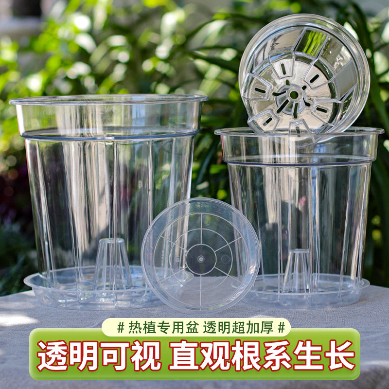 活性懒人套盆透气控根塑料加厚内盆自吸水热带植物懒人透明花盆,鲜花速递/花卉仿真/绿植园艺,花盆,淘宝优惠券,粉丝福利购,淘宝优惠卷