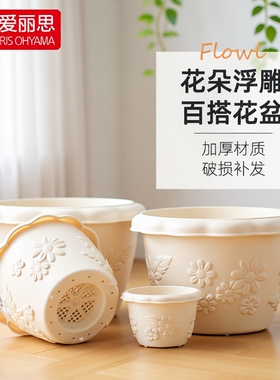 爱丽丝花盆中钵加仑植物控根创意绿萝多肉兰花塑料树脂爱丽思盆