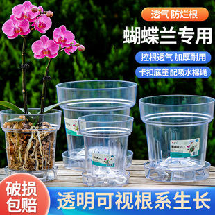 蝴蝶兰专用懒人花盆绿植自吸水花盆加厚PP树脂透明圆形托盘水培盆