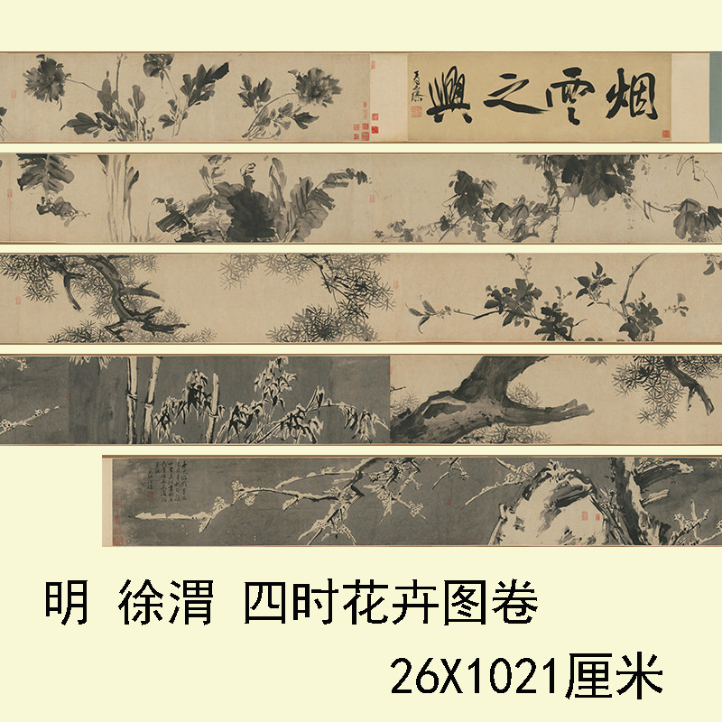 徐渭四时花卉图卷适合临摹长卷
