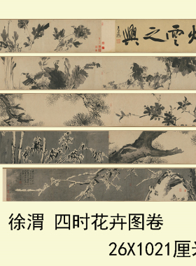 徐渭四时花卉图卷适合临摹长卷