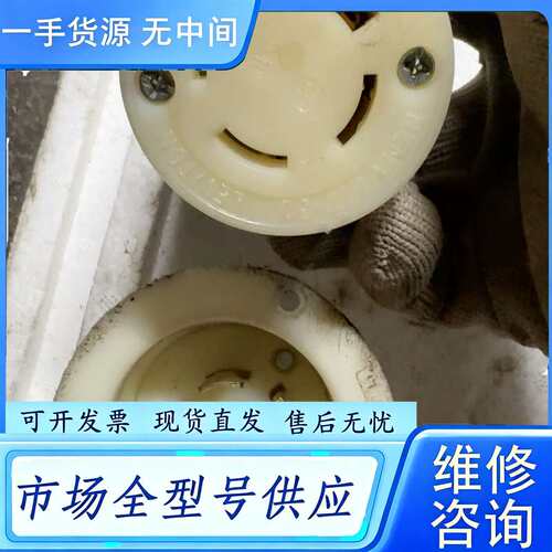 要询价--图一: 荷宝公插+立维腾母插