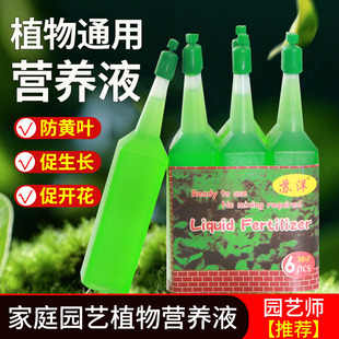 水培植物营养液土培观叶盆栽使用花卉生根补营养液体肥水溶通用型