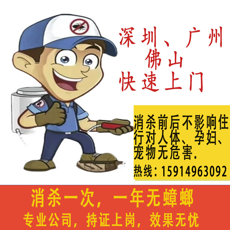 佛山深圳广州专业上门除蟑螂灭老鼠灭蟑螂除白蚁跳蚤服务公司