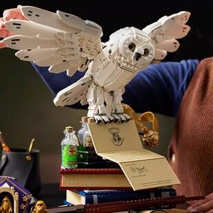 哈利波特海德薇猫头鹰大颗粒积木千年隼泰坦尼克号迪士尼拼装玩具