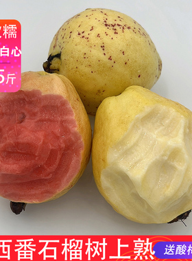 红白芭乐广西奶油番石榴老树软糯白心稍大个些红的偏小