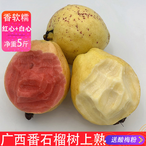 广西现摘红白混装芭乐番石榴