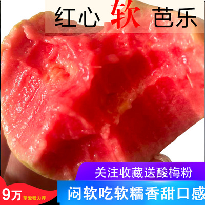 热抢！广西真软糯红心芭乐5斤装