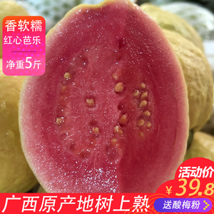 广西软糯红心芭乐5斤水果软心番石榴奶油翻潘蕃鸡屎果新鲜巴乐果