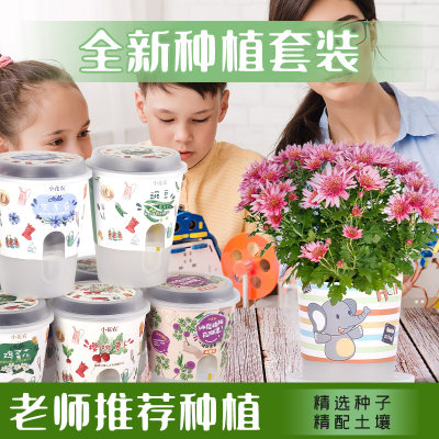 儿童种植盆栽幼儿园观察植物生长花农diy盲盒发芽迷你小学生自种