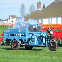 五羊登峰S物流农山区国标成人载重快递电瓶家用拉货农电动三轮车