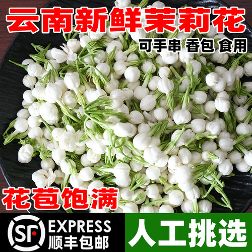 云南新鲜茉莉花2斤可食用现摘鲜花蔬菜顺丰空运当季蔬菜野菜包邮