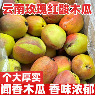 酸木瓜包邮新鲜云南特产水果孕妇野生泡酒红花青青木瓜生吃1-5斤