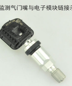 卡适堡保隆胎压监测传感器发射器 TPMS真空气门嘴 轮胎气门帽