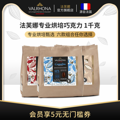 原料法国进口烘焙巧克力豆币蛋糕