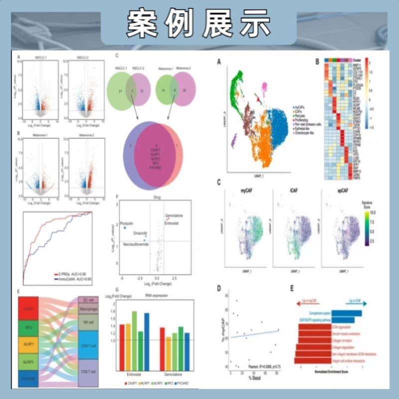 生信分析生物转录组服务2-8geo数据挖掘单细胞测序分析网络药理