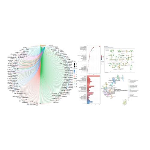 GWAS 全基因组关联分析 QTL 群体结构进化树曼哈顿图 QQ 图 PCA